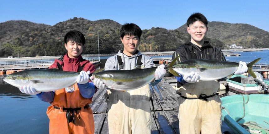 販売されている鮮度抜群のひけた鰤＝東かがわ市引田