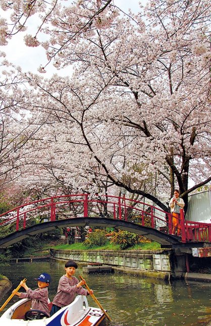 朝日山森林公園