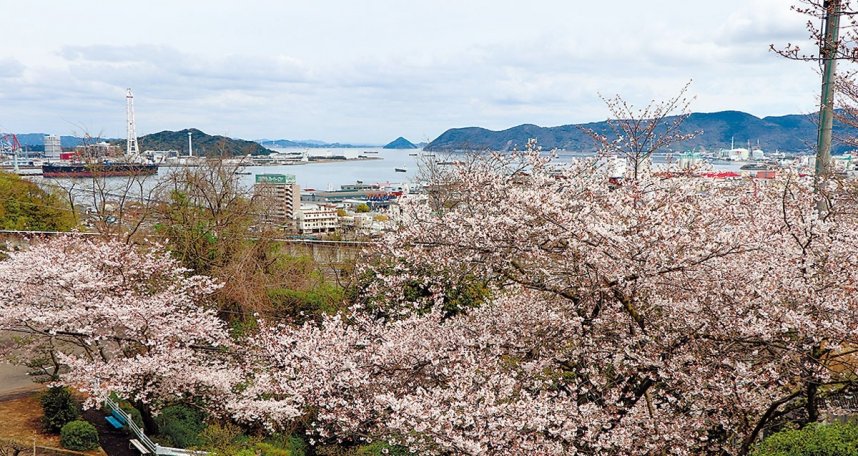 聖通寺山