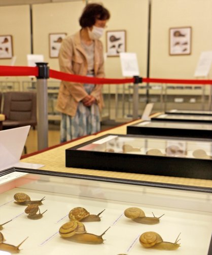本物そっくりのフィギュアなどが並ぶかたつむり展＝香川県仲多度郡琴平町、ＡＣＴことひら