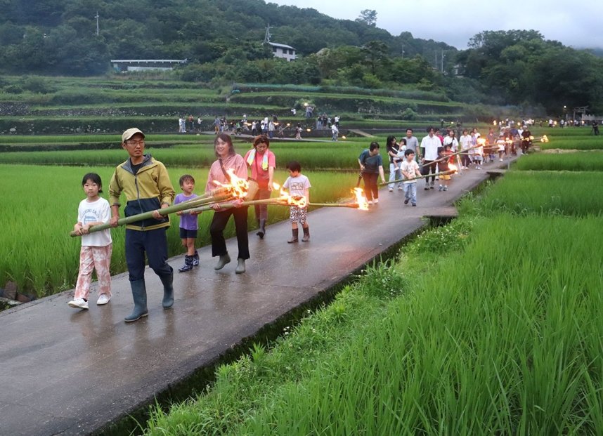 青々とした水田に火手の炎をかざしながら歩く親子連れら＝土庄町肥土山