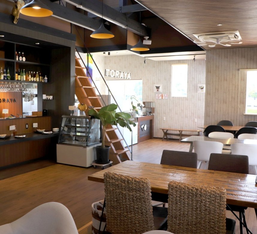 ＳＥＴＯＵＣＨＩ ＣＵＲＲＹ＆ＣＡＦＥ ＴＯＲＡＹＡ