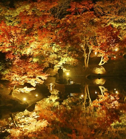 ライトアップされ、幻想的な雰囲気を醸し出す栗林公園の紅葉＝２０２３年１１月２３日、香川県高松市栗林町