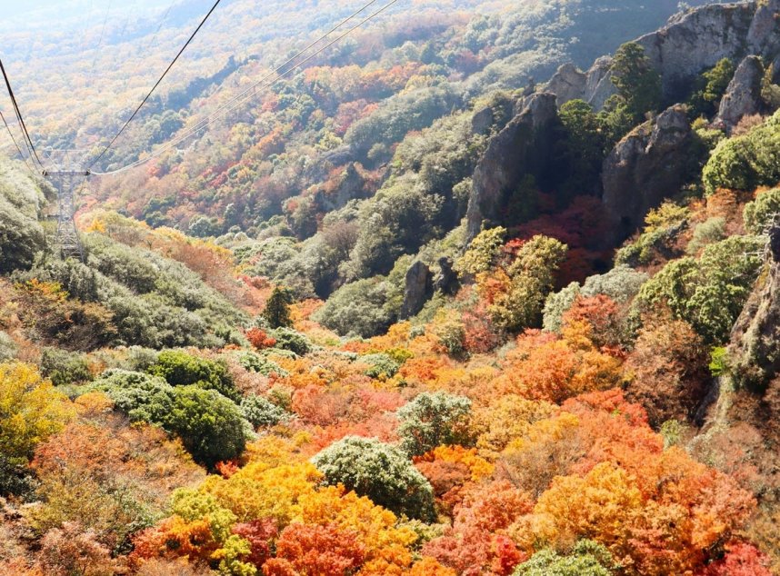 奇岩、崖地に自生した紅葉植物と常緑樹とのコントラストが美しい寒霞渓＝２０２３年１１月２３日、香川県小豆郡小豆島町