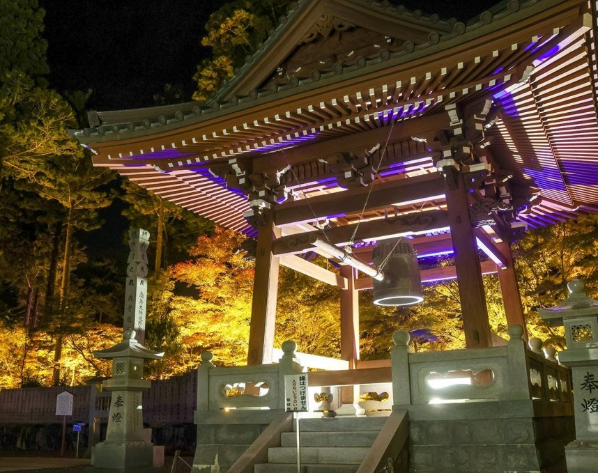 試験点灯で夕闇に浮かび上がる雲辺寺の鐘撞堂（かねつきどう）周辺の紅葉＝徳島県三好市