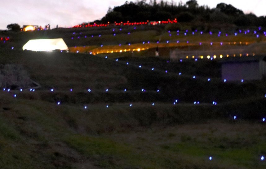 あぜにＬＥＤランプが輝き、幻想的な雰囲気に包まれた「唐櫃の棚田」＝香川県小豆郡土庄町豊島唐櫃