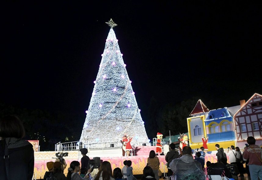 １０万個のＬＥＤが輝く高さ２３㍍のクリスマスツリー＝丸亀市綾歌町、ニューレオマワールド