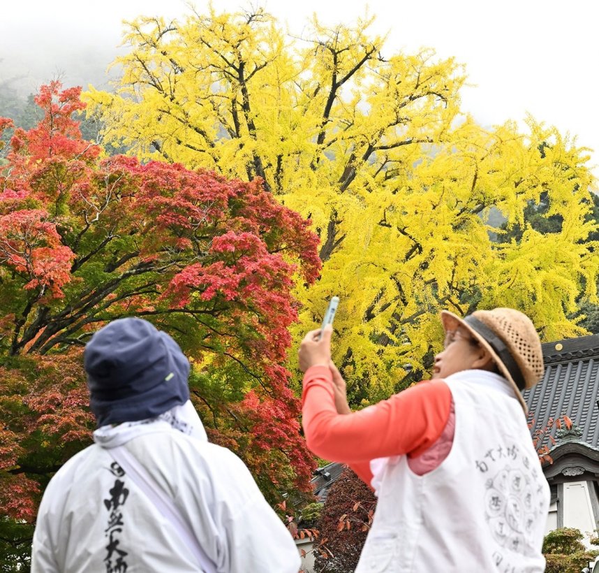 大窪寺