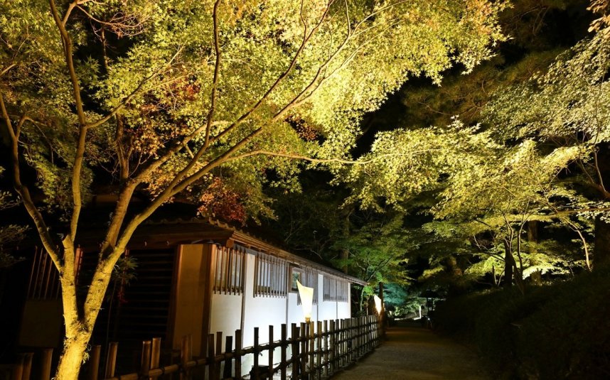 試験点灯でライトアップされた栗林公園の日暮亭付近＝香川県高松市栗林町