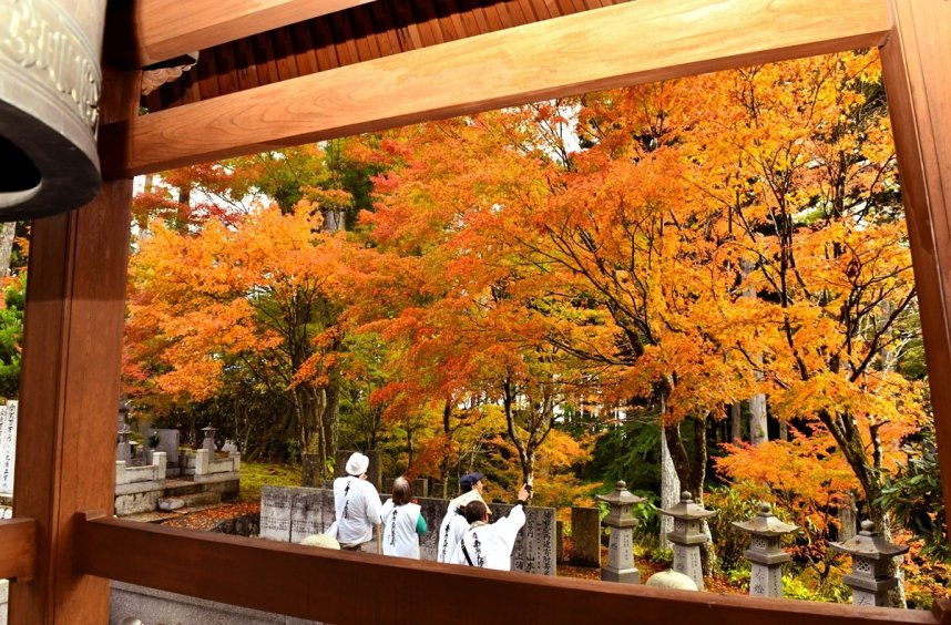 雲辺寺山周辺