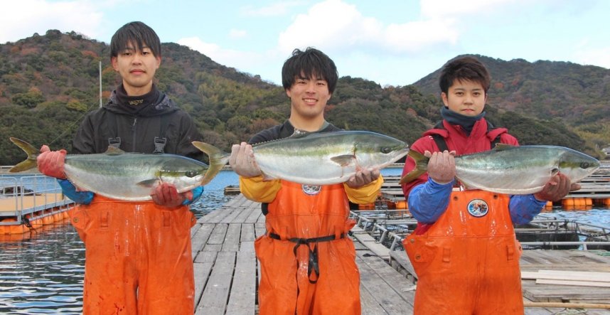 販売されている鮮度抜群のひけた鰤＝香川県東かがわ市引田