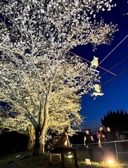 ライトアップされた桜と造形作品を楽しむ家族連れ＝香川県東かがわ市小海