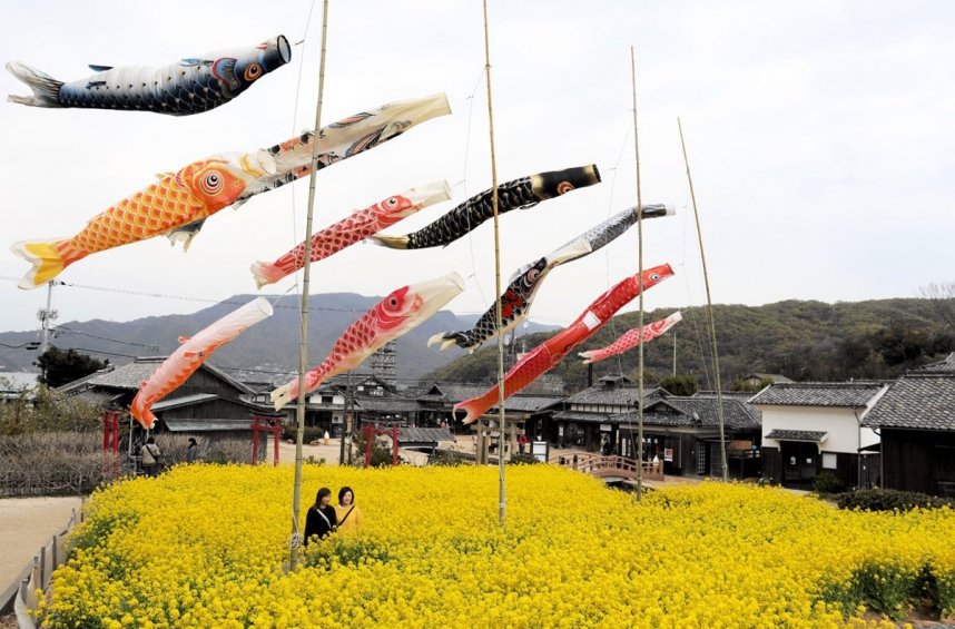 菜の花畑の上で１２匹のこいのぼりが泳ぐ様子を楽しむ観光客＝香川県小豆郡小豆島町田浦、二十四の瞳映画村