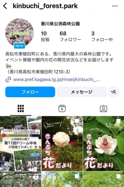写真や動画で園内の花や野鳥に関する最新情報を発信する公式アカウント（公渕森林公園公式インスタグラムから）