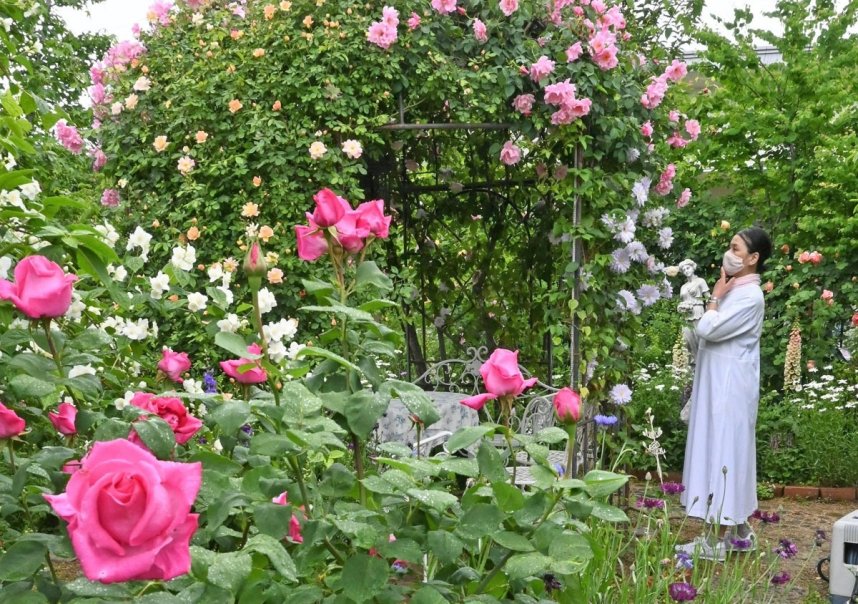 多種多様なバラと季節の草花で彩られた「ガーデン四季」＝香川県高松市勅使町