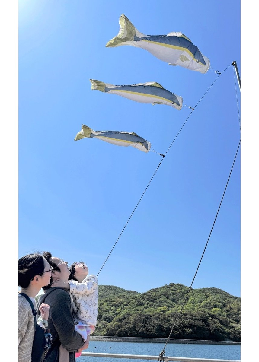 海風を受けて気持ちよさそうに空を泳ぐ「ブリのぼり」＝香川県東かがわ市引田、安戸池