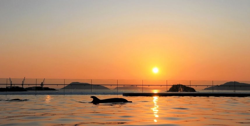 四国水族館から楽しめる秋の夕景（四国水族館提供）