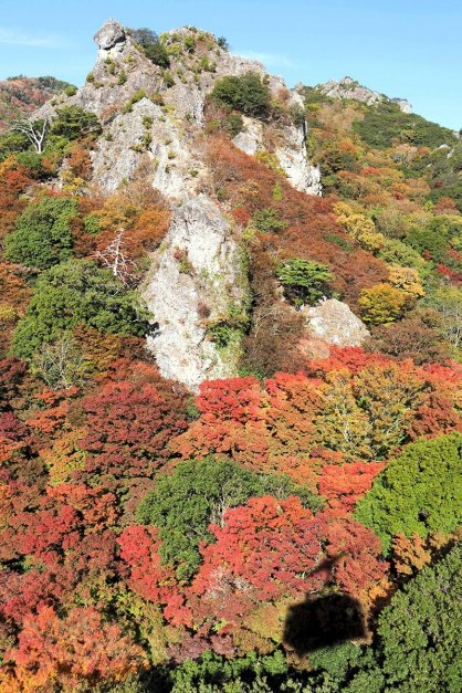 奇岩、崖地に自生した紅葉植物と常緑樹とのコントラストが美しい寒霞渓=2024年11月24日、香川県小豆郡小豆島町