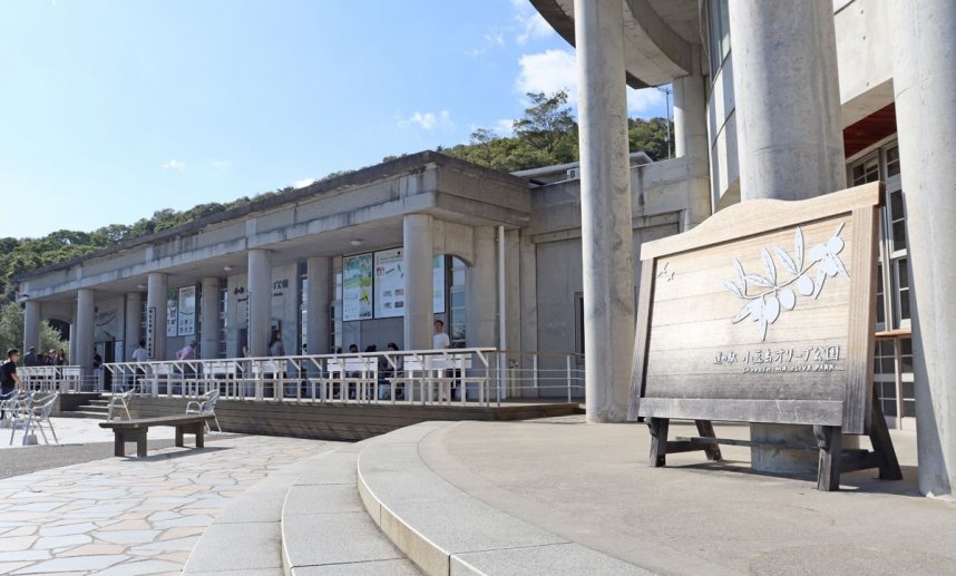 オリーブの魅力を満喫できる「小豆島オリーブ公園」