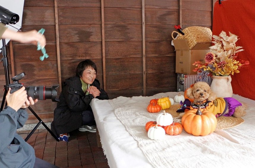 ハロウィーンらしく仮装して撮影会に臨む犬＝香川県仲多度郡琴平町、金陵の郷