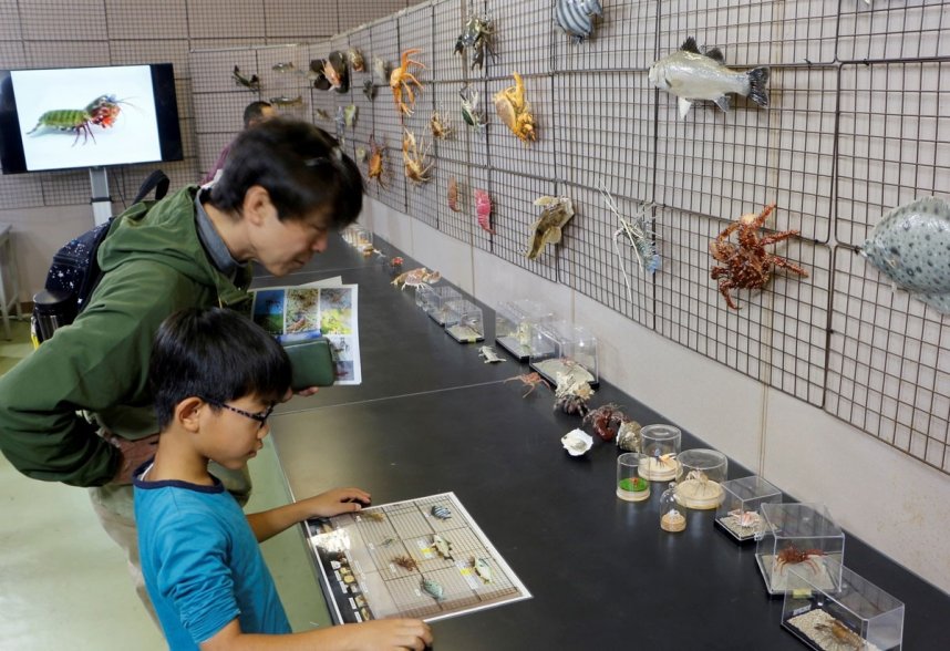 超絶技巧が施された剥製を楽しむ来場者＝香川県仲多度郡まんのう町中通、ことなみ未来館