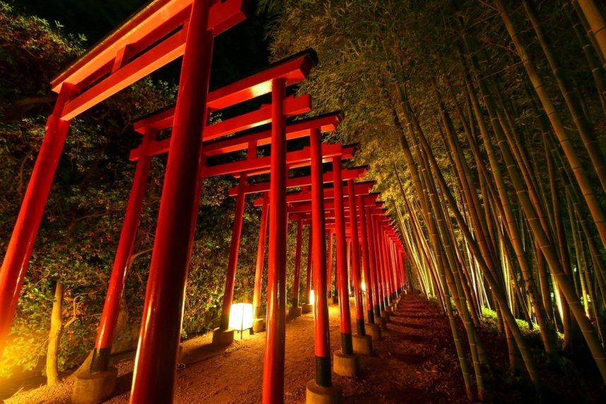 ライトアップされた「鳥居回廊」