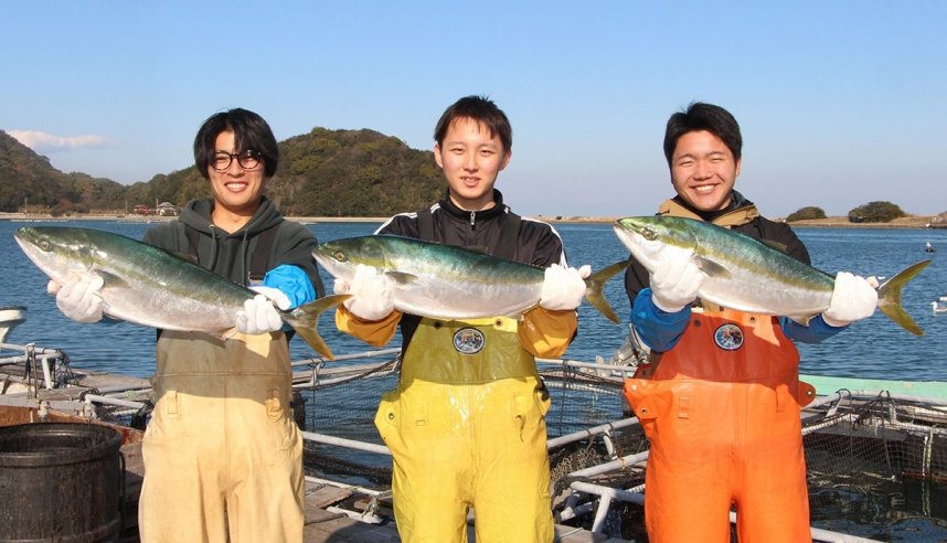 販売している鮮度抜群のひけた鰤＝香川県東かがわ市引田