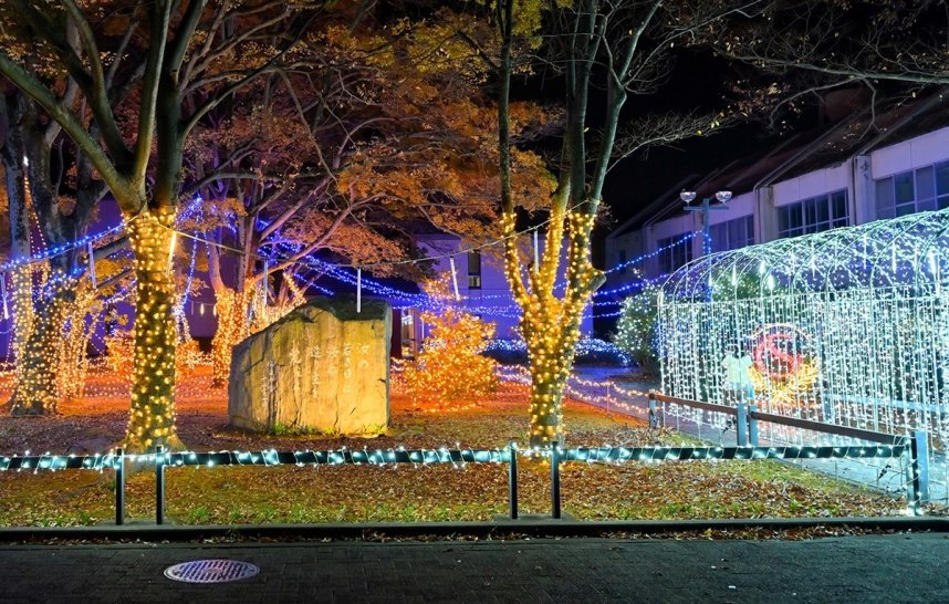 学生らが飾り付けた約7万個のLEDがきらびやかに輝く四国学院大のキャンパス