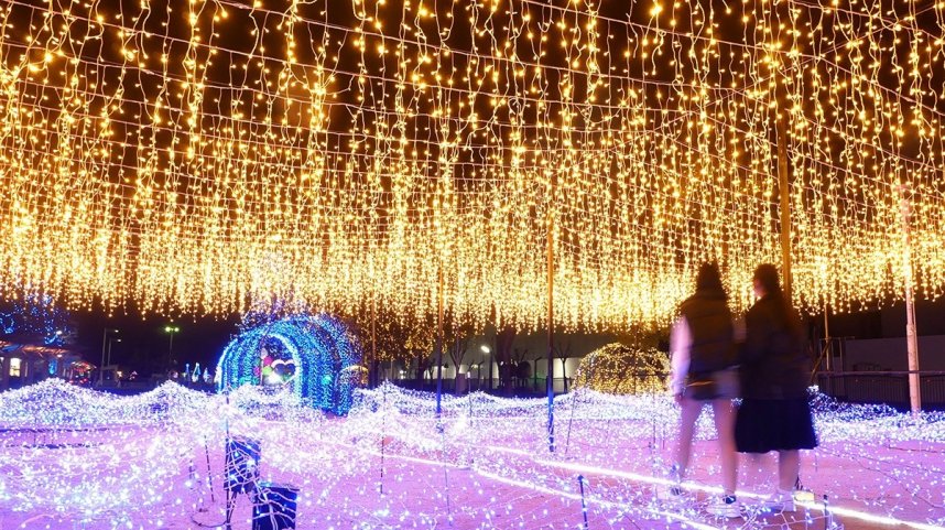 「さかいで光輝里フェスティバル」で星空と波をイメージしたイルミネーション