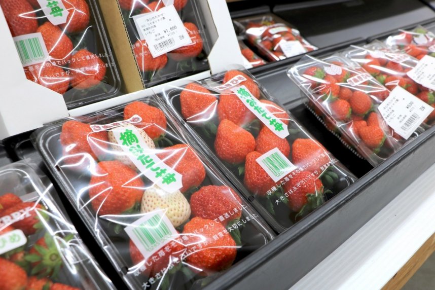「さぬきひめ」をはじめとしたイチゴも豊富に並ぶ
