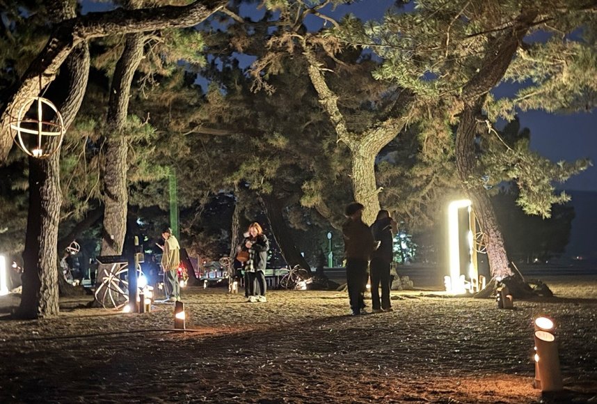 津田の松原を竹明かりで柔らかく照らすイルミネーションイベント「うみとひかりの夜」＝香川県さぬき市津田町