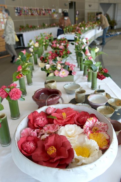 香川のツバキなどを一堂に紹介する椿展＝香川県高松市牟礼町、市石の民俗資料館