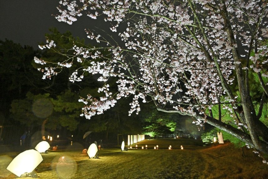 試験点灯で暗闇に浮かび上がったヒガンザクラや扇形のオブジェ＝香川県高松市、栗林公園