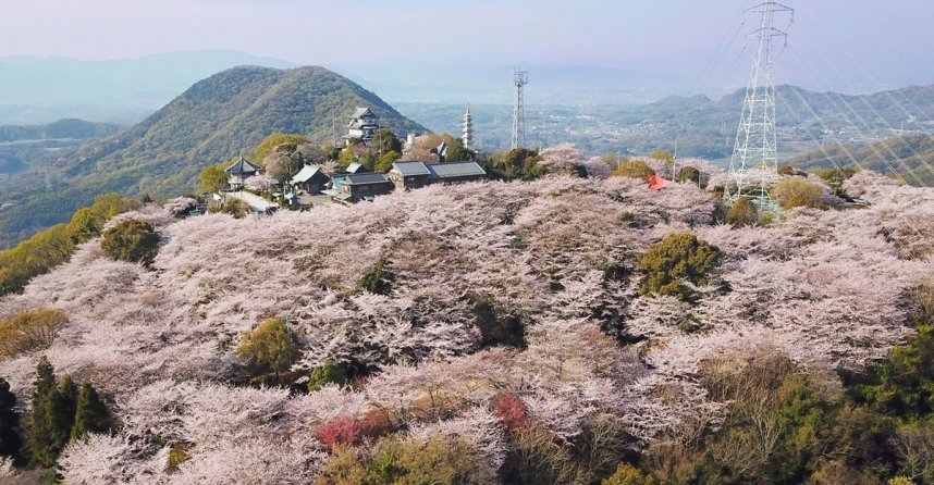 朝日山森林公園（特別な許可を得てドローンで3日撮影。撮影は東かがわ市のNPO法人「輝」）