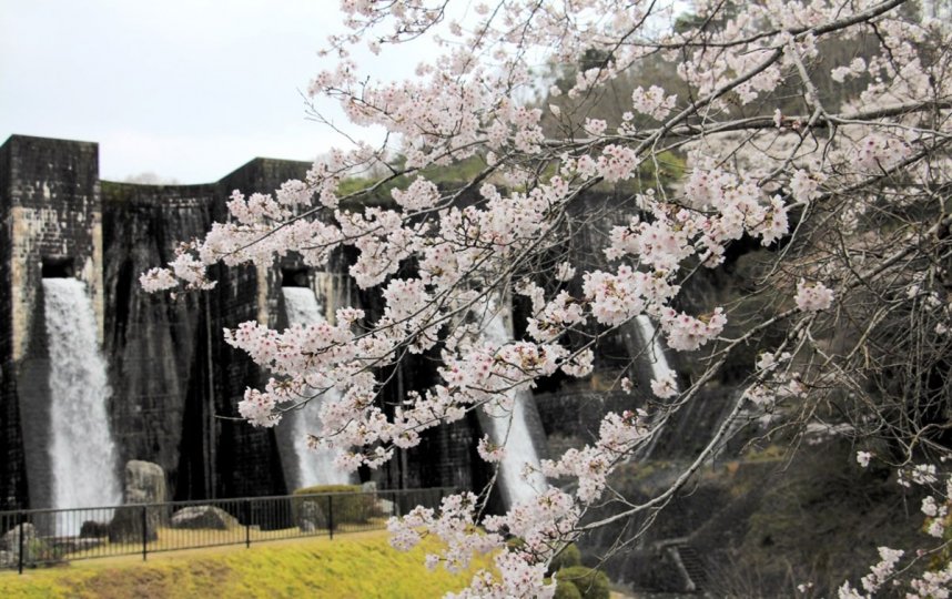 豊稔池遊水公園