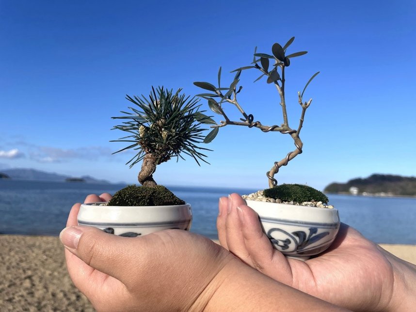 手のひらサイズの「讃岐ＢＯＮ栽」