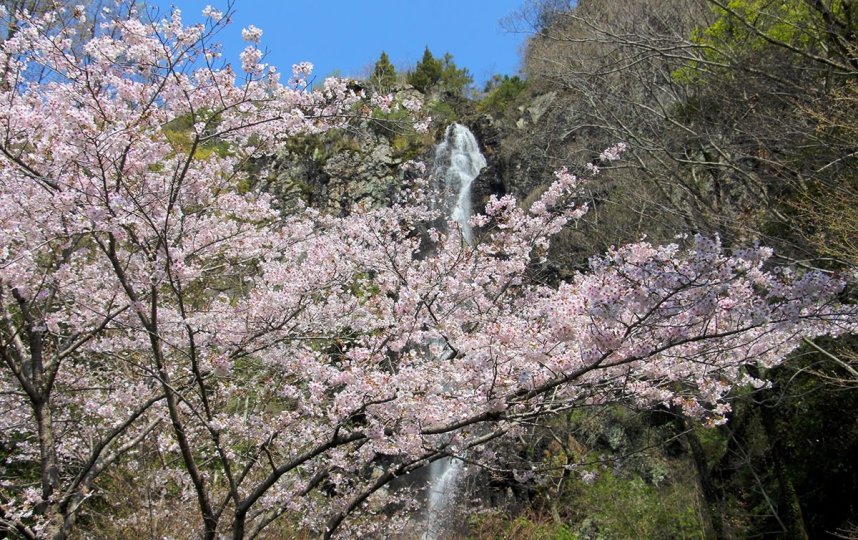不動の滝カントリーパーク