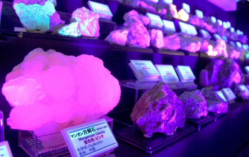 紫外線を当てると鮮やかに発色する蛍光鉱物＝さぬき市大川町、市雨滝自然科学館