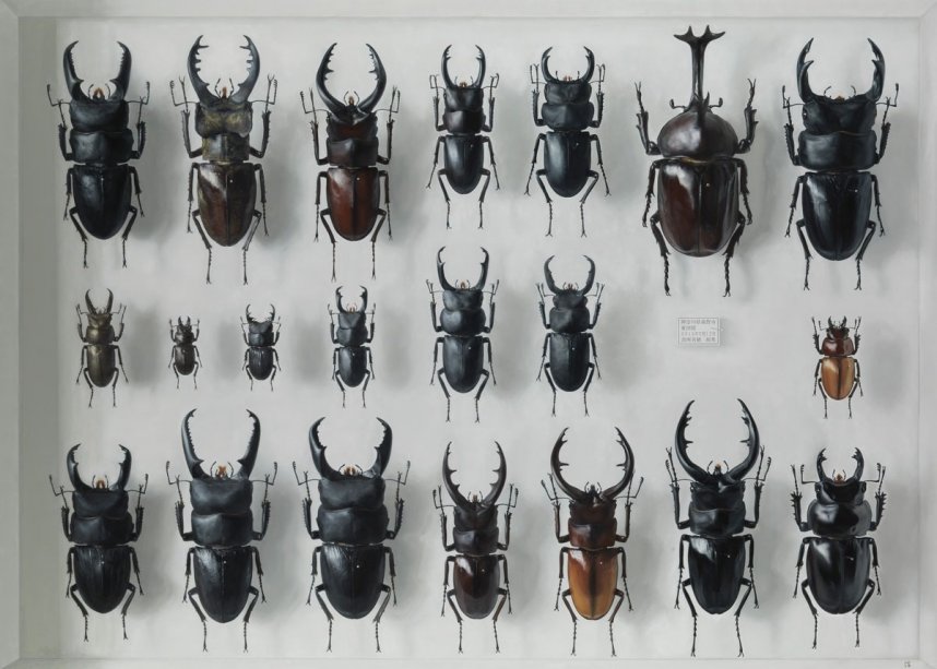 島村信之「夢の箱」２０１７年