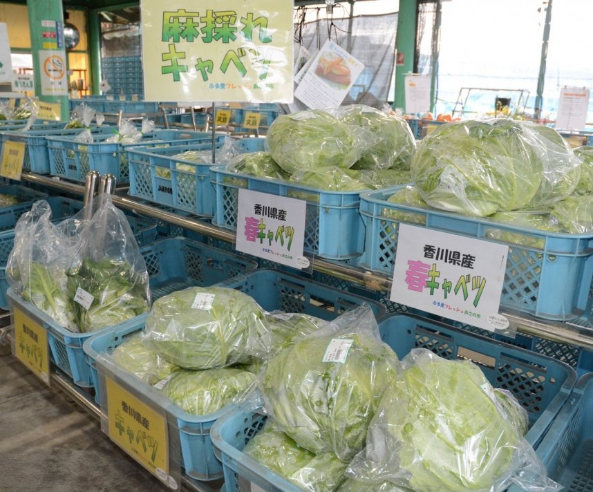 旬の春キャベツなど麻地区で採れた新鮮な野菜や果物が並ぶ