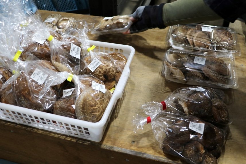 肉厚の原木シイタケの入荷が豊富。自宅で干せば日持ちがする