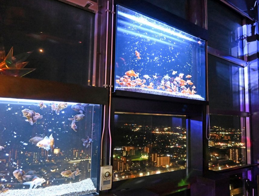 窓にはめ込まれた水槽越しに宇多津の夜景が広がっている