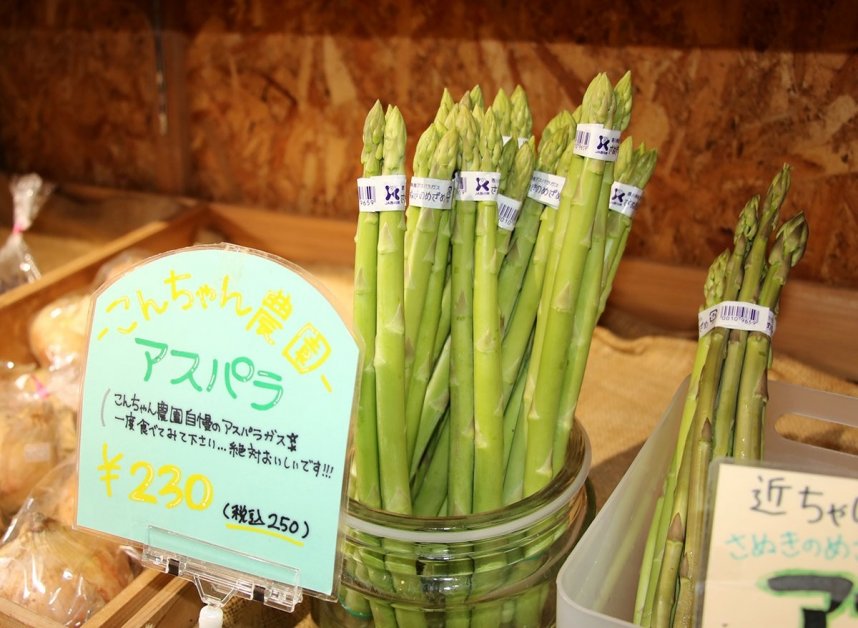 旬を迎えている県オリジナル品種のアスパラガス「さぬきのめざめ」