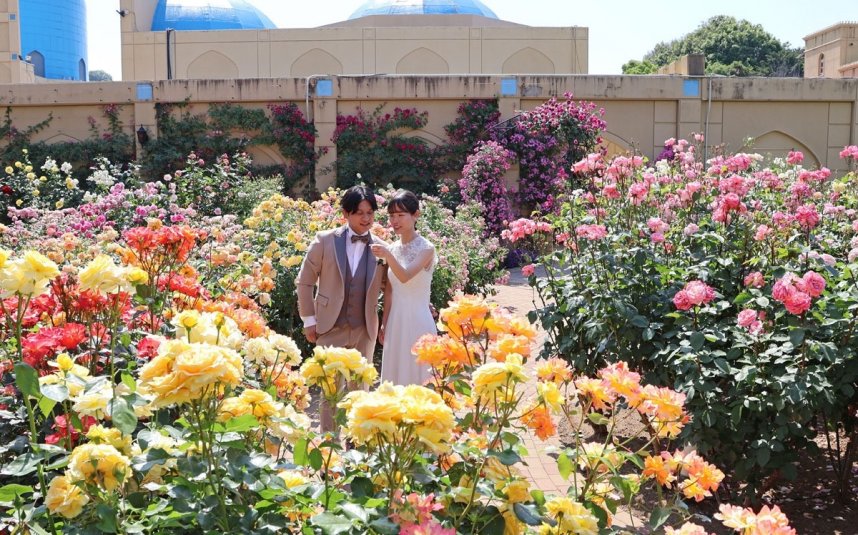 色鮮やかな１０万本のバラが咲き誇る「春の大バラまつり」。結婚式の前撮りで訪れたカップルも＝香川県丸亀市綾歌町、レオマリゾート