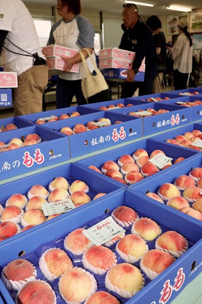 特産品のモモが並ぶ直売所。午前９時のオープンから、多くの人が訪れた＝香川県丸亀市飯山町
