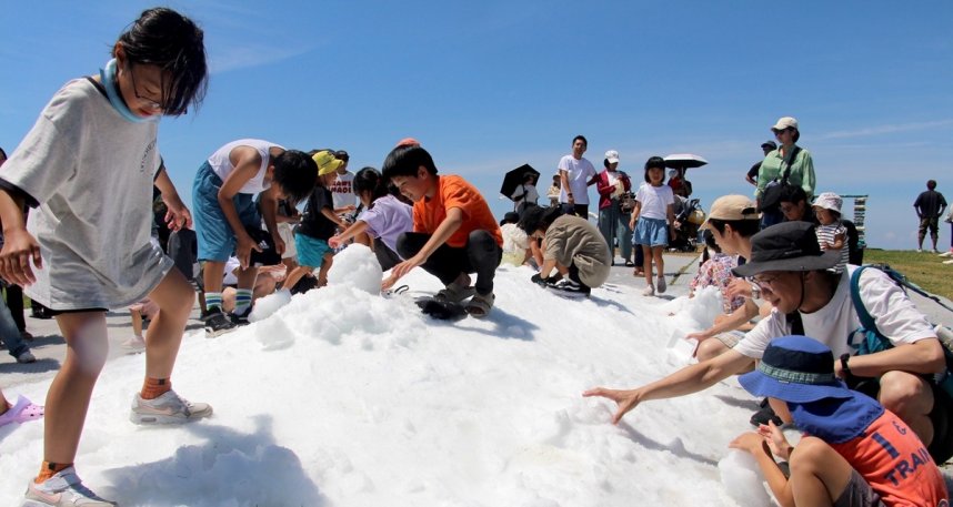 「真夏の雪遊び」で雪だるまを作るなどして楽しむ子どもら＝香川県観音寺市大野原町、雲辺寺山頂公園（資料）